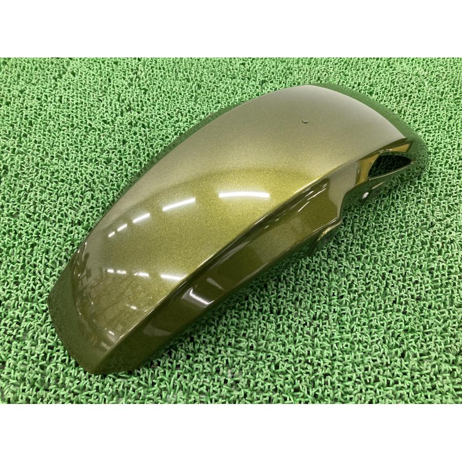 カワサキ（Kawasaki） ZRX1200ダエグ フロントフェンダー 濃緑M 35004