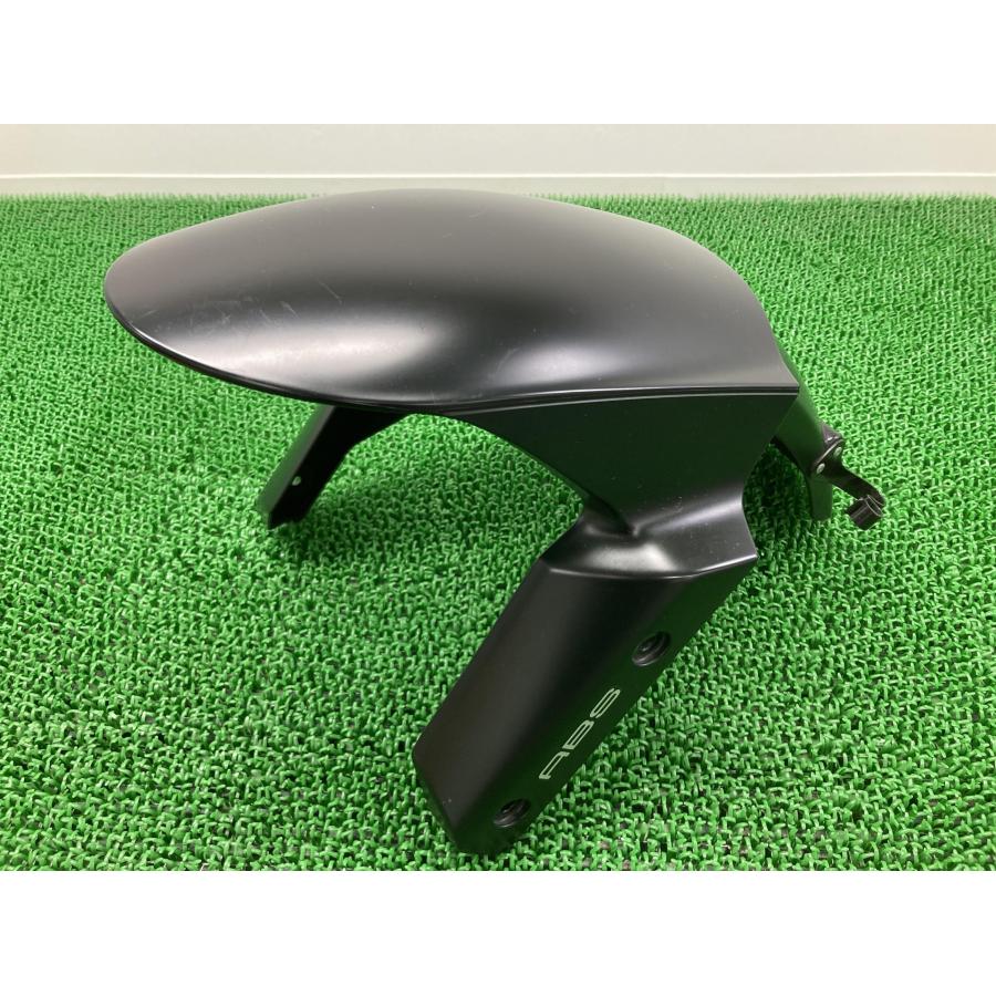 カワサキ（Kawasaki） NINJA1000 フロントフェンダー 黒 35004-0118