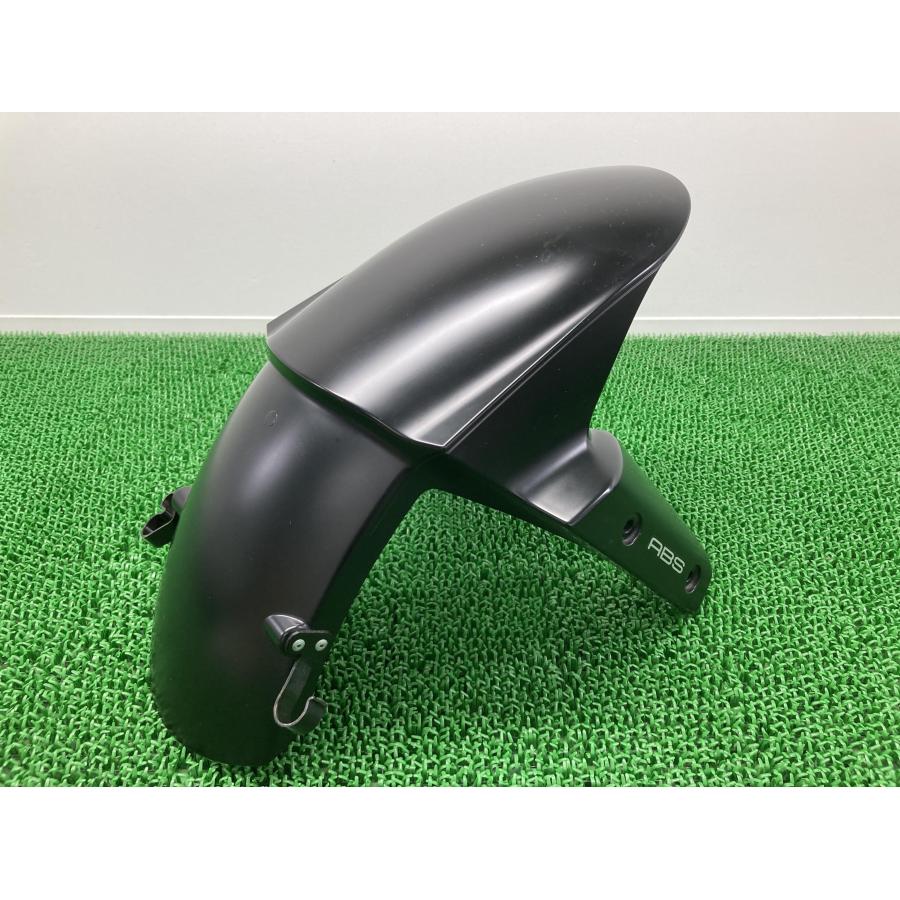 カワサキ（Kawasaki） NINJA1000 フロントフェンダー 黒 35004-0118