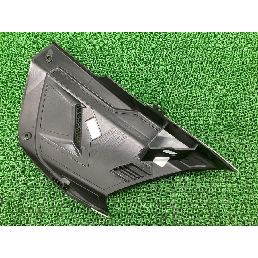 ディアベル1260 サイドカバー 右 484.3.156.1A ドゥカティ 純正 中古
