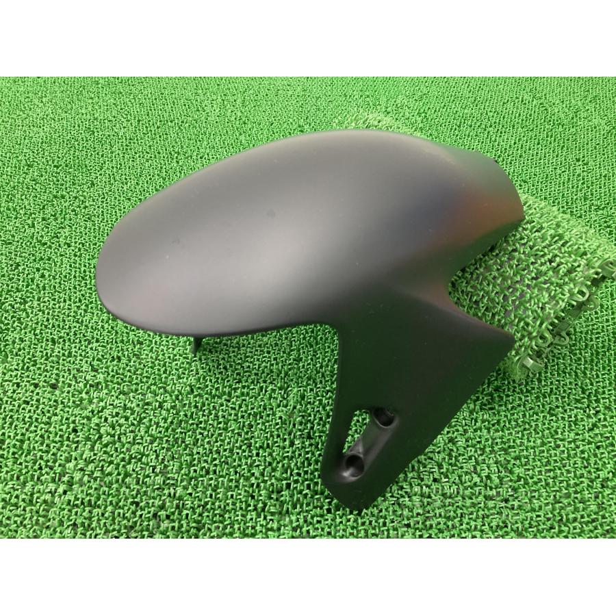 パニガーレV2 V4 V4S フロントフェンダー マットB 564.3.674.1A