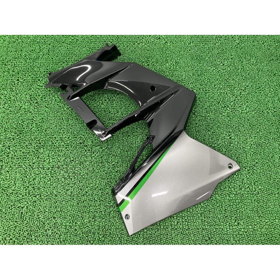 カワサキ H2SX サイドカウル 左 黒M/銀 55028-0651 純正 中古 カワサキ H2SX サイドカウル 左 黒M/銀 55028-0651 純正 中古