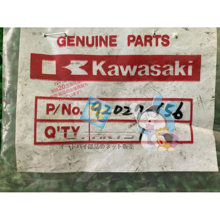 カワサキ（Kawasaki） GPZ900R フューエルタンクカラー 在庫有 即納