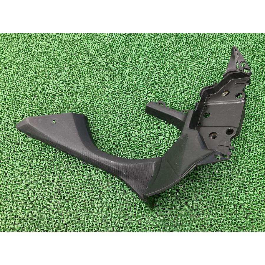 カワサキ（Kawasaki） ニンジャ650 インナーカウル 右 55028-0470 純正