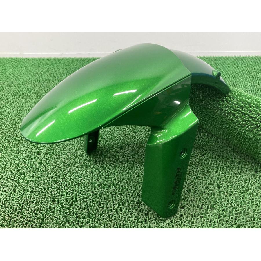 カワサキ（Kawasaki） NINJA1000 フロントフェンダー 緑M 35004-0118