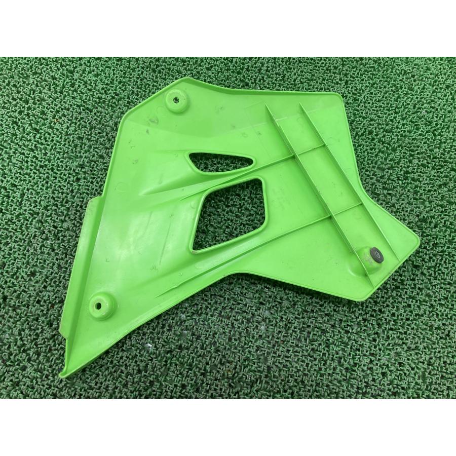 カワサキ（Kawasaki） KDX220SR シュラウド 左 緑 49089-1120 純正