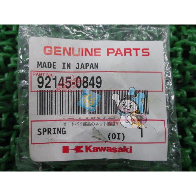 カワサキ（Kawasaki） NinjaZX-10R シフトチェンジスプリング ギア