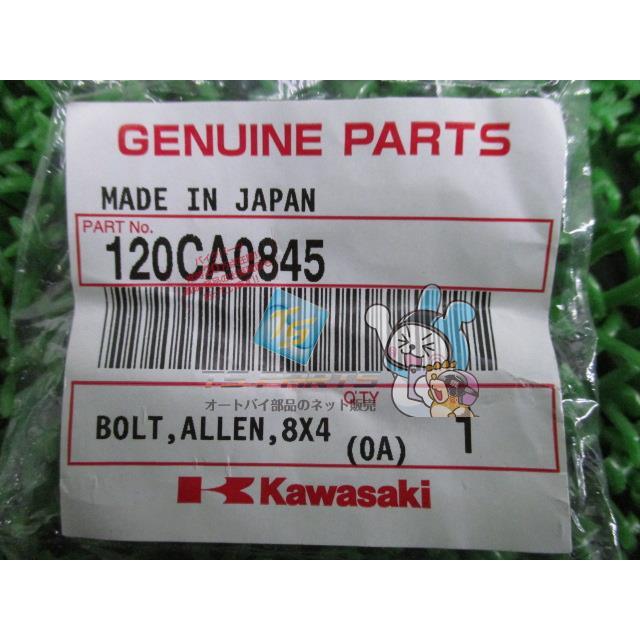 カワサキ（Kawasaki） GPZ900R マフラーステーボルト 左 在庫有 即納