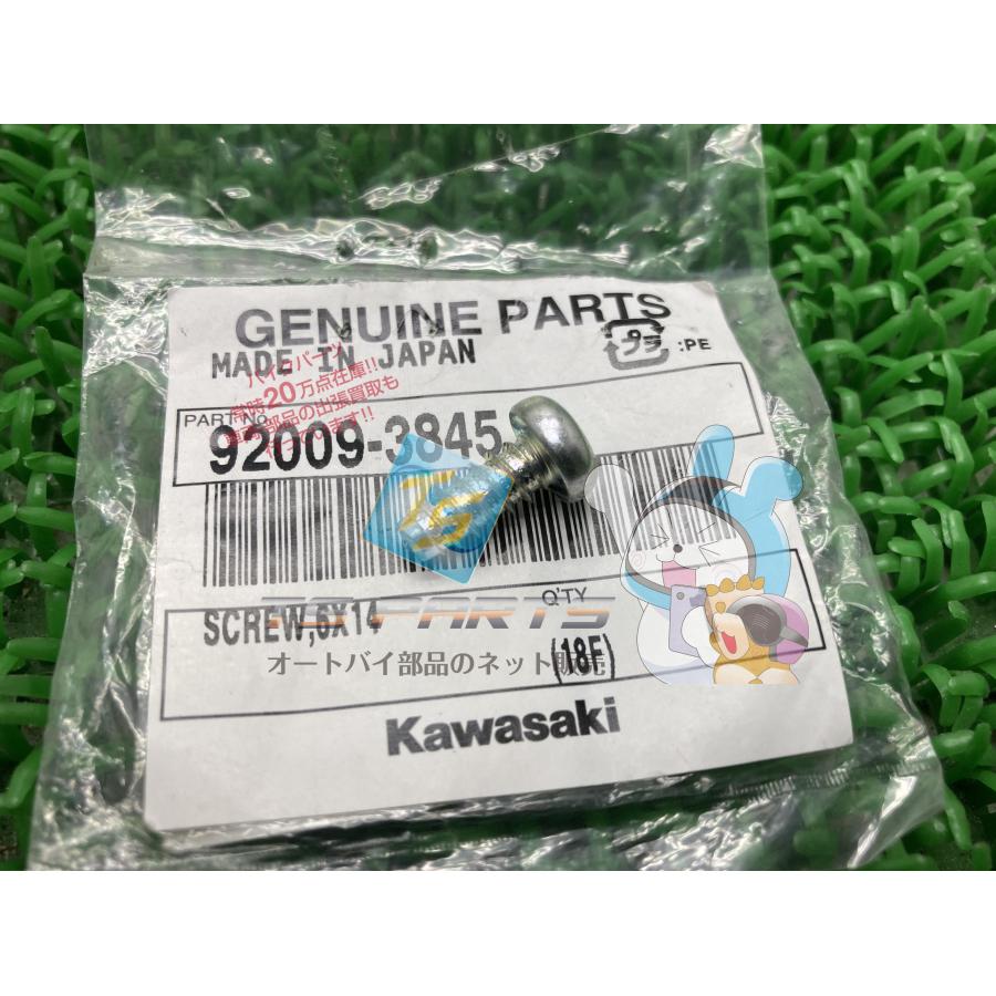 なりごん カワサキ（Kawasaki） Ninja250 リアフェンダーボルト 在庫有 即納