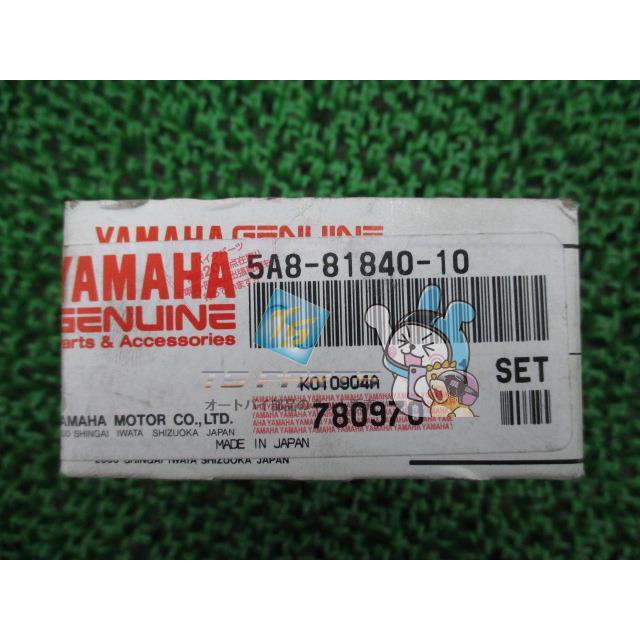 ドラッグスター1100 ブラシホルダー 在庫有 即納 ヤマハ 純正 新品 バイク 部品 YAMAHA 車検 Genuine XV1100ビラーゴ 16 ヤマハ発動機 ドラッグスター1100 ブラシホルダー 在庫有 即納 ヤマハ