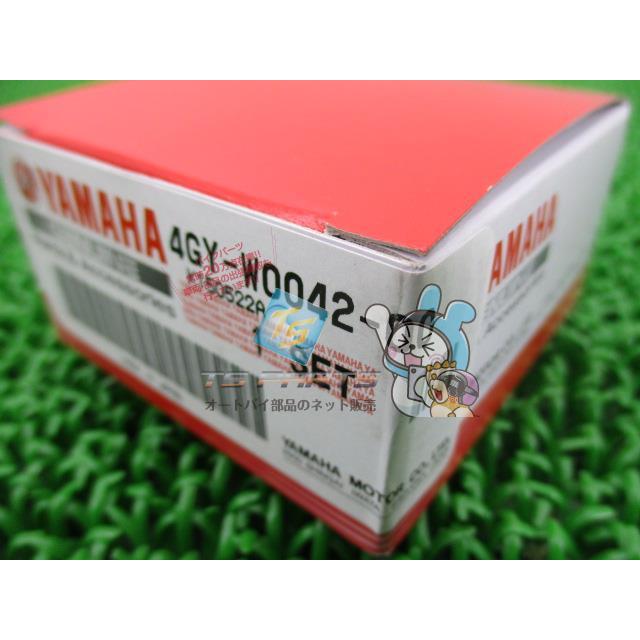 ヤマハ発動機 TT-R250 リアマスターシリンダーセット 在庫有 即納