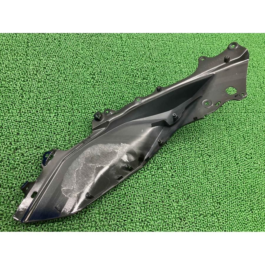 NINJA1000SX サイドカウル 右 黒M 55028-0738 カワサキ 純正 中古 ZX1002K コンディション良好 割れ欠け無し 品薄 希少品 23 カワサキ（Kawasaki） NINJA1000SX サイドカウル 右 黒M 55028-0738