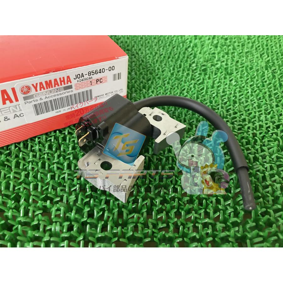 ヤマハ発動機 ゴルフカート TCIユニット 在庫有 即納 ヤマハ 純正 新品