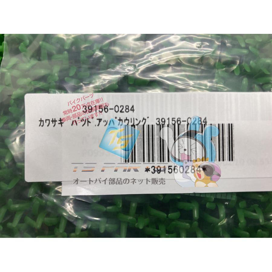 カワサキ（Kawasaki） ZRX1200ダエグ アッパーカウルパッド 在庫有