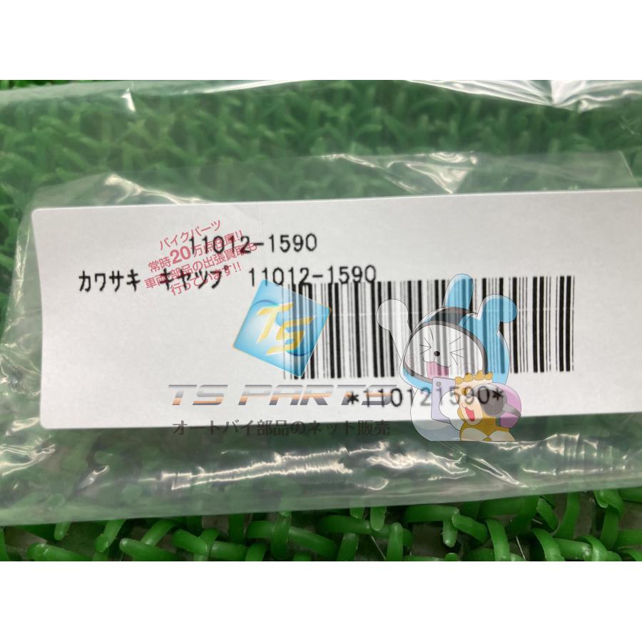 カワサキ（Kawasaki） Z900RS スイングアームキャップ 純正 新品