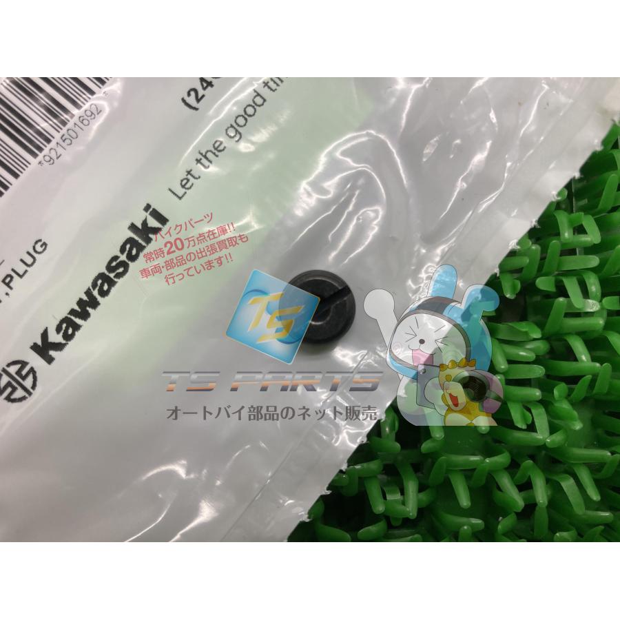 カワサキ（Kawasaki） Dトラッカー フロントブレーキキャリパープラグ