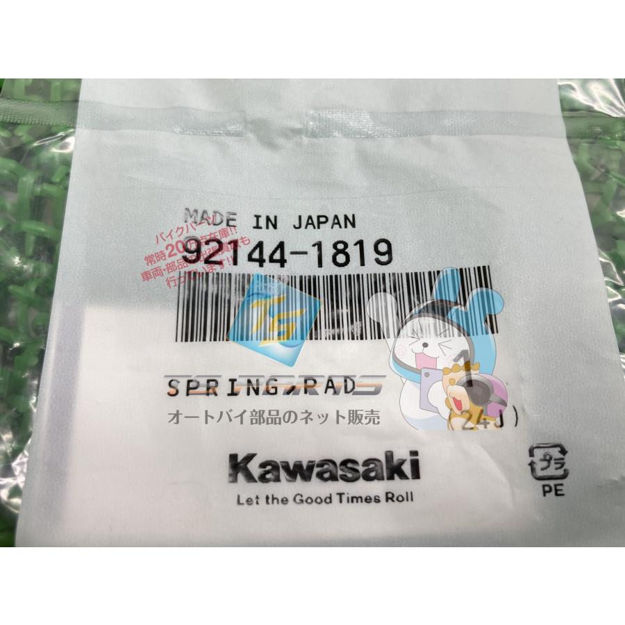 カワサキ（Kawasaki） Dトラッカー リアブレーキパッドスプリング 純正