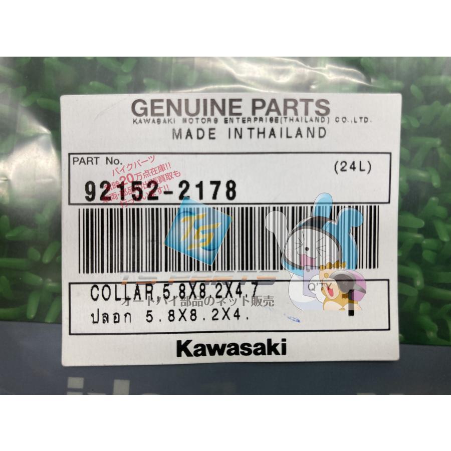 カワサキ（Kawasaki） Z250ABS サイドカバーカラー 在庫有 即納 純正