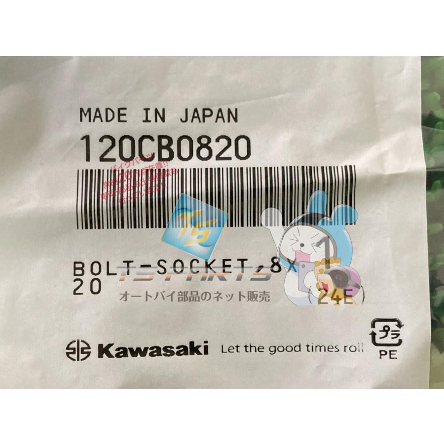 カワサキ（Kawasaki） Ninja250 リアブレーキキャリパーサポートボルト