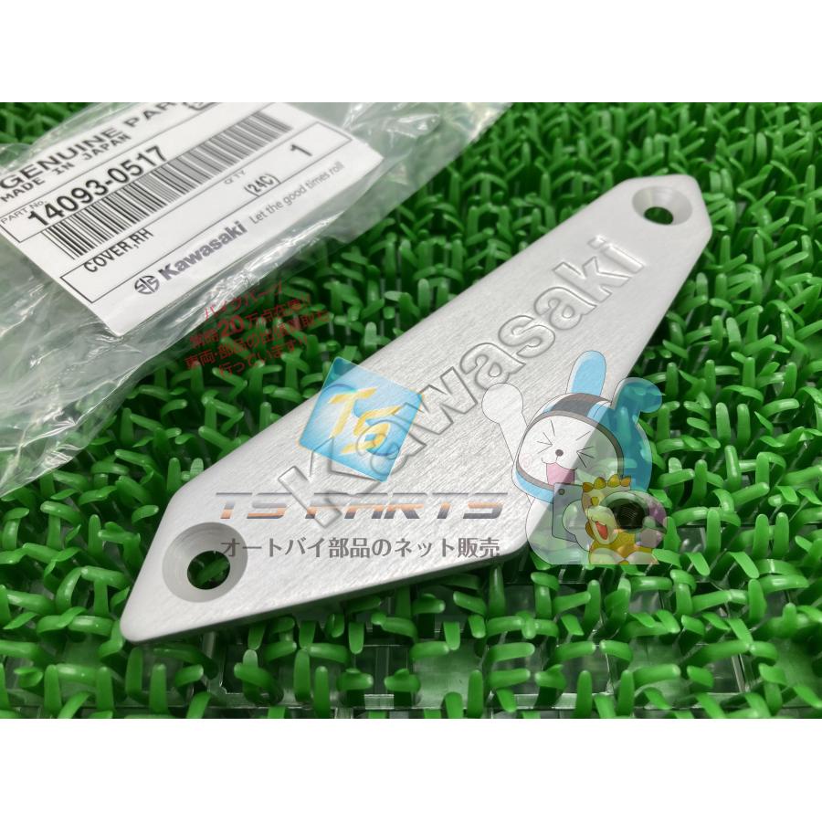 カワサキ（Kawasaki） Z900RS エンジンスライダーカバー 右 在庫有