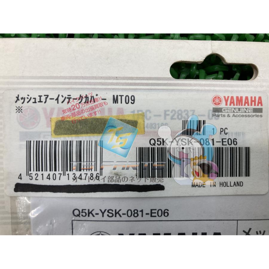 aさん専用 ヤマハ発動機 MT-09 メッシュエアインテークカバー 在庫有 即納 ヤマハ
