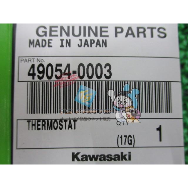 カワサキ（Kawasaki） ZRX1200DAEG サーモスタット 在庫有 即納 純正