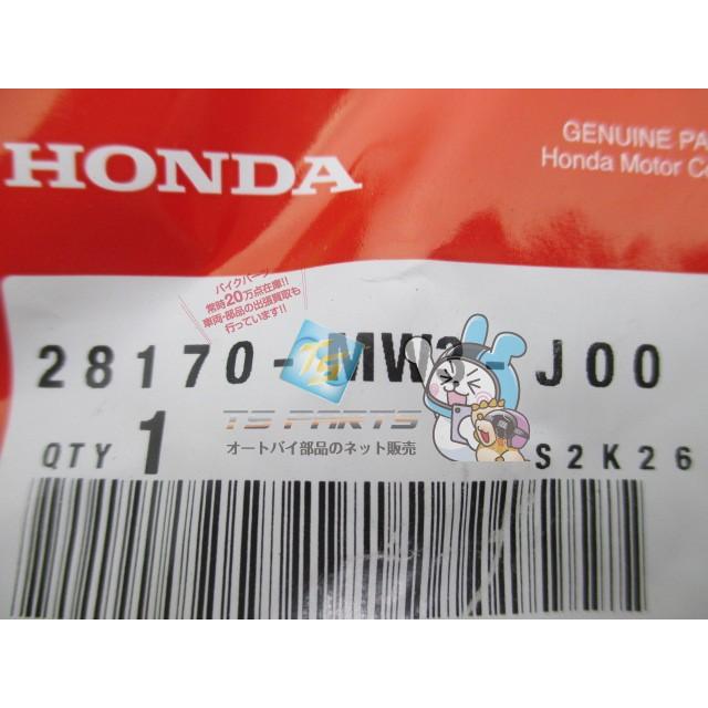 CB750 オルタネーターチェーンテンショナー ホンダ 純正 新品 在庫有り 即納可 Dq ホンダ（HONDA） CB750 オルタネーターチェーンテンショナー 在庫有