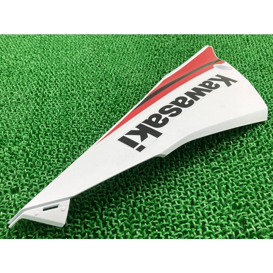 カワサキ（Kawasaki） NINJA650 アンダーカウル 右 パール 55028-0599