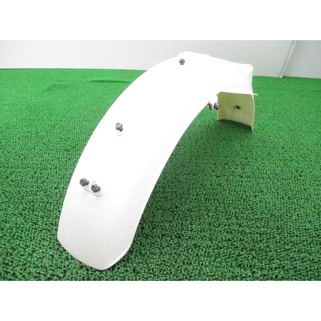 カウル、フェンダー、外装 ○新品セット○250TR○フロントフェンダー