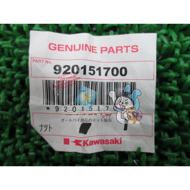 カワサキ（Kawasaki） ゼファーカイ Rフェンダーステーナット 在庫有