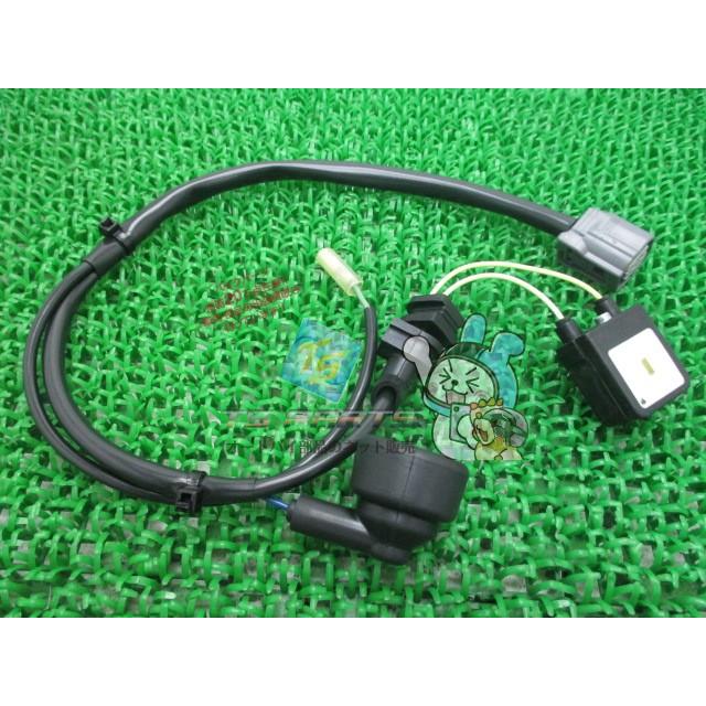VTR250 パルスジェネレーター 在庫有 即納 ホンダ 純正 新品 バイク 部品 在庫有り 即納可 車検 Genuine So_1