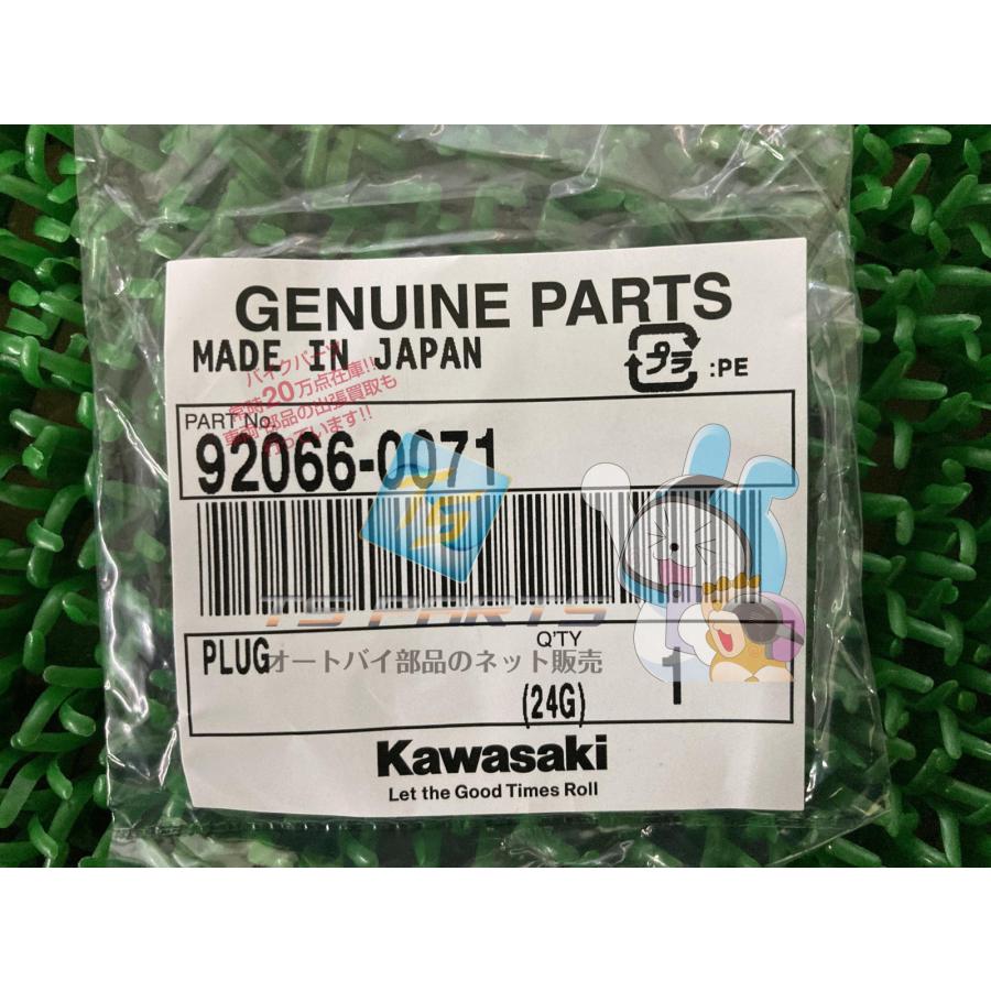 カワサキ（Kawasaki） NINJA1000 トップブリッジプラグ 純正 新品