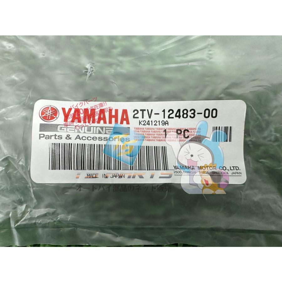YAMAHA（ヤマハ） RZ250RR オイルタンクパイプ 在庫有 即納 純正 新品