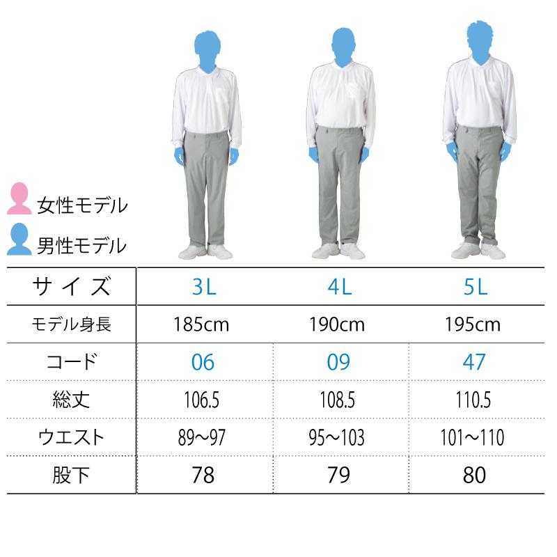 大きいサイズ パンツ メンズ ストレッチ ズボン スラックス ウエスト ゴム仕様 テレワークでも活躍 スリム｜ts-sora｜06