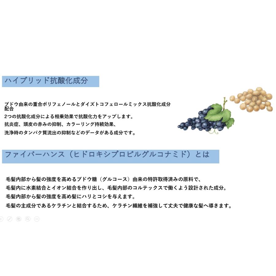 【新品未使用】KERFFECT SHAMPOO 1000ml 詰め替え用 ケラフェクトシャンプー詰め替え 1000g KERAFFECTSHAMPOO : Ace