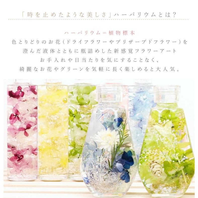 母の日 プレゼント 花 ギフト 21 アジサイ 手作り 40代 祖母 人気 プリザーブドフラワー オイル ボトル 贈り物 誕生日 お祝いm Tams 002 M Ts Aden 通販 Yahoo ショッピング