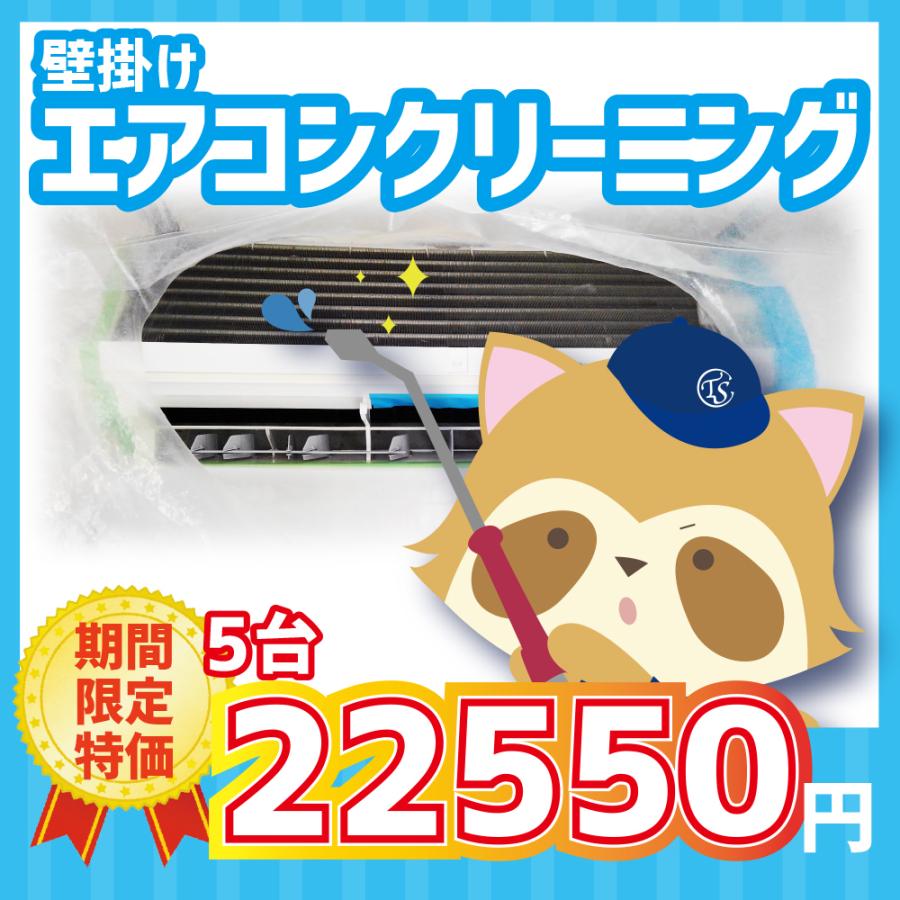 5/3限定格安価格] エアコンクリーニング
