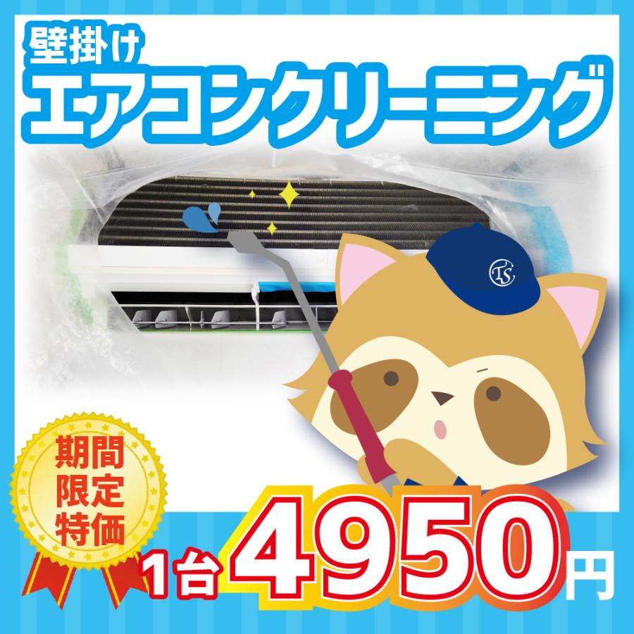 コロナ ウインドエアコン(冷房専用タイプ) シェルホワイト CW-A1612(WS)