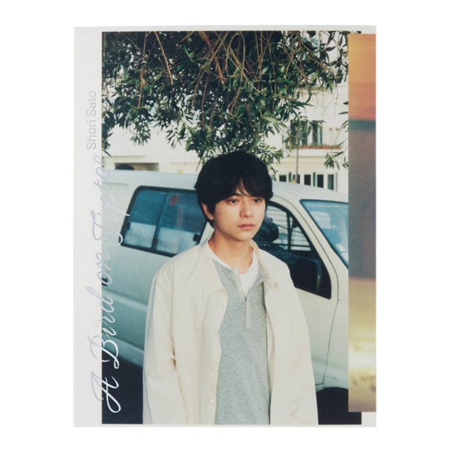 予約商品 2025年10月30日 発売予定】 佐藤勝利 1st写真集 「A