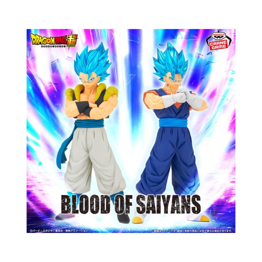 予約商品 2025年11月発売予定 】ドラゴンボール 超 BLOOD OF