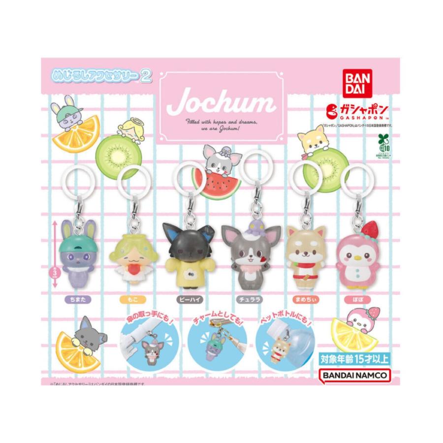 BANDAI（バンダイ） 【予約商品 2026年1月発売予定 】JOCHUM めじるし