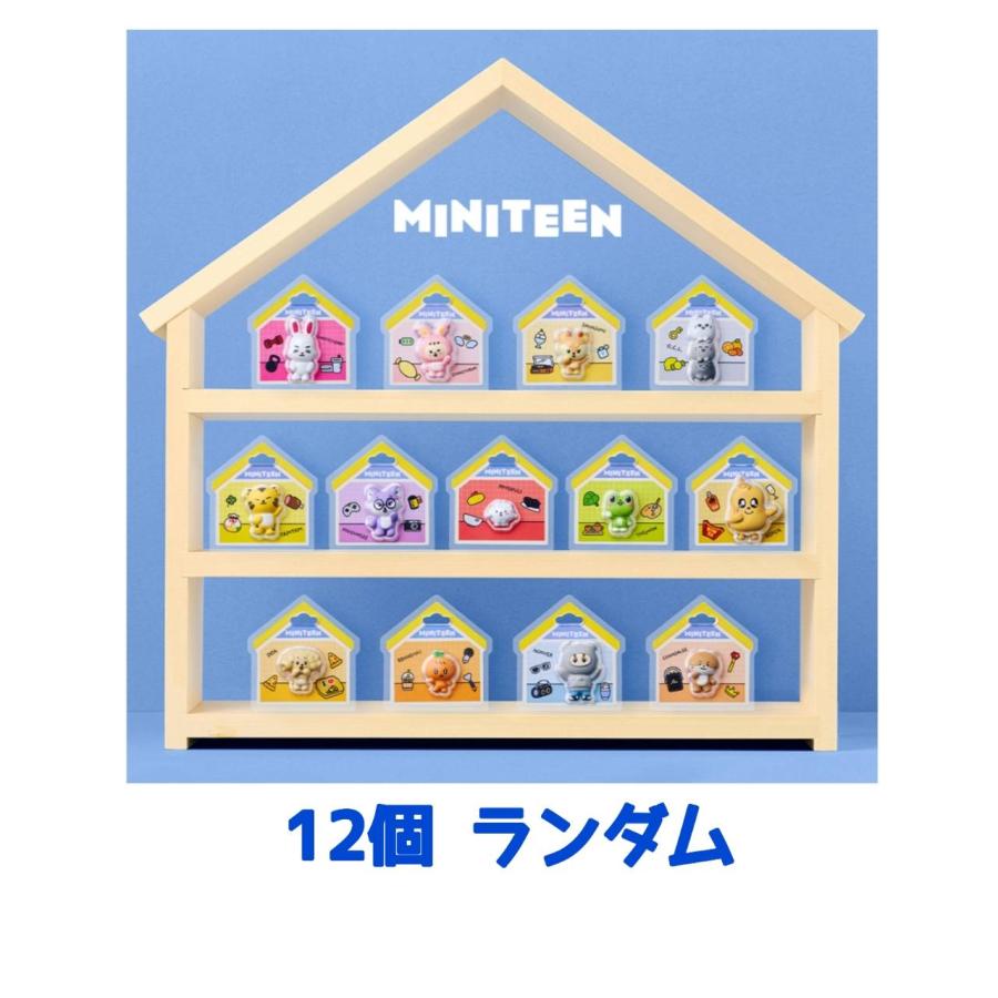 予約商品 2026年6月 発売予定】 MINITEEN パッケージチャーム 12個
