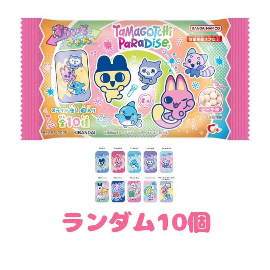 予約商品 2026年5月 発売予定】 すらいどきゃん たまごっちパラダイス