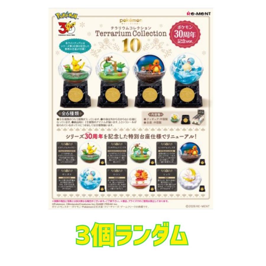 予約商品 2026年8月10日 発売予定】 ポケットモンスター テラリウム