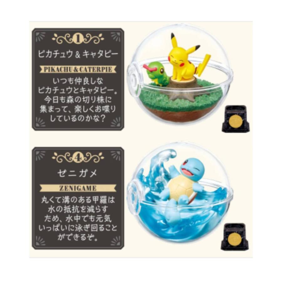 予約商品 2026年8月10日 発売予定】 ポケットモンスター テラリウム