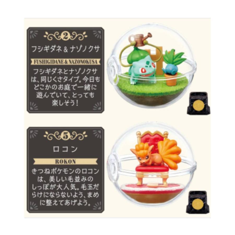 予約商品 2026年8月10日 発売予定】 ポケットモンスター テラリウム