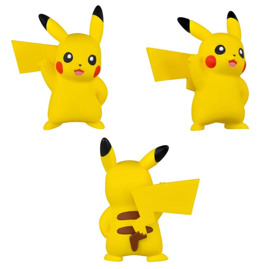 予約商品 2026年6月6日 発売予定】 ポケットモンスター ポケモン30周年