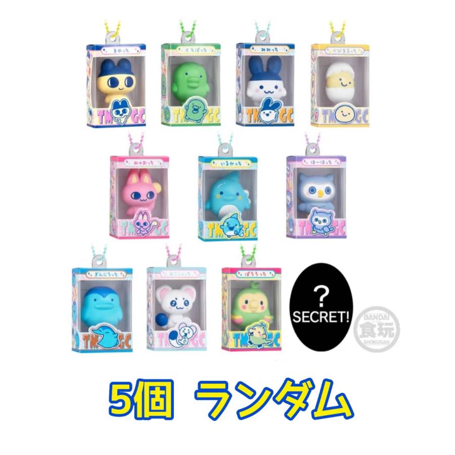予約商品 2026年12月 発売予定】 たまごっち チョコボックス ボックス