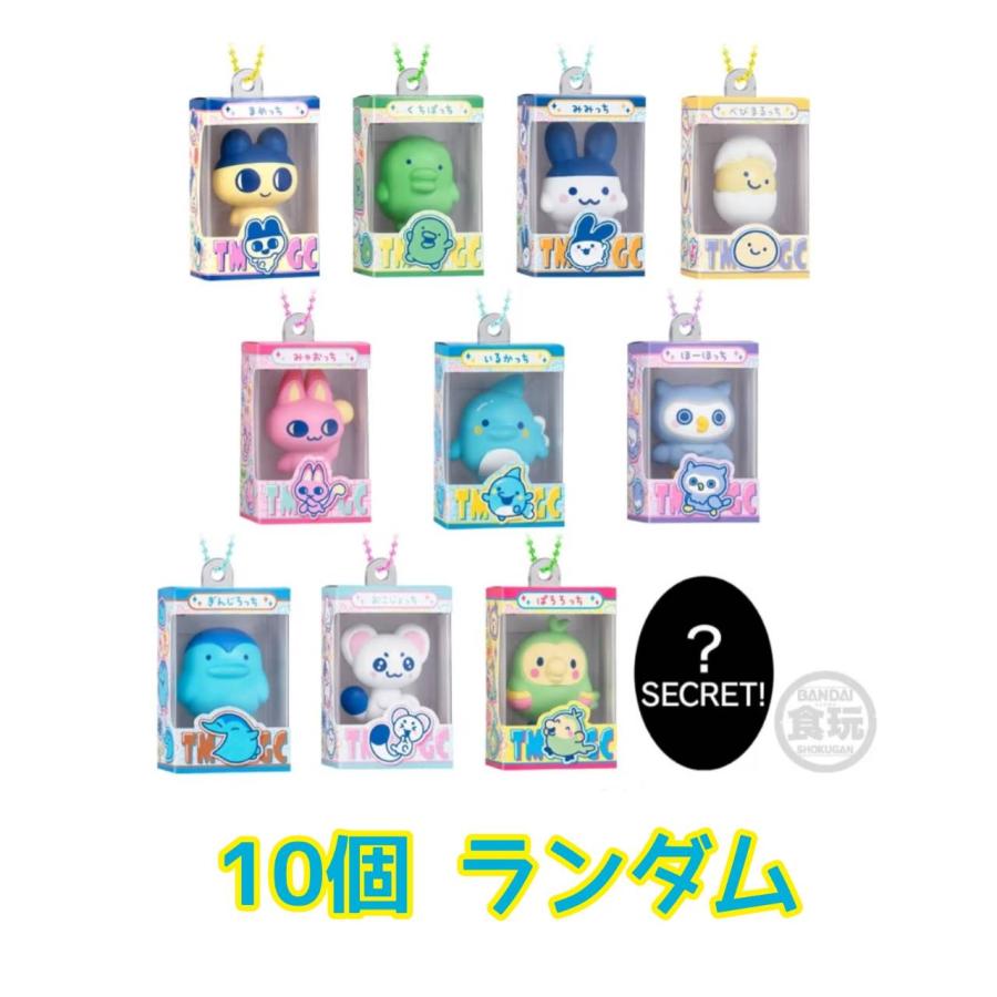 予約商品 2026年12月 発売予定】 たまごっち チョコボックス ボックス