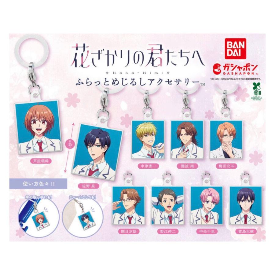 花ざかりの君たちへ 全プレ応募クッション 未開封 BANDAI（バンダイ） 【予約商品 2026年7月発売予定 】 花ざかりの